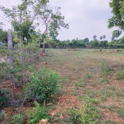 20 பரப்பு காணி விற்பனைக்கு