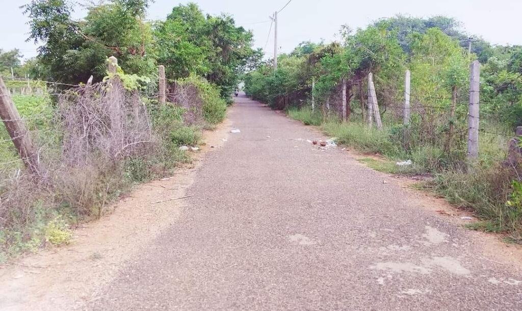 20 பரப்பு காணி விற்பனைக்கு-4