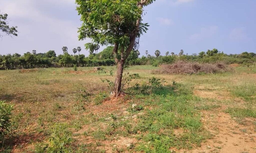 20 பரப்பு காணி விற்பனைக்கு-3