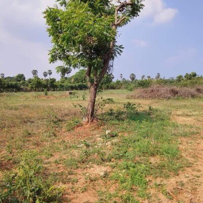 20 பரப்பு காணி விற்பனைக்கு