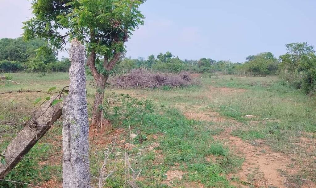 20 பரப்பு காணி விற்பனைக்கு-2
