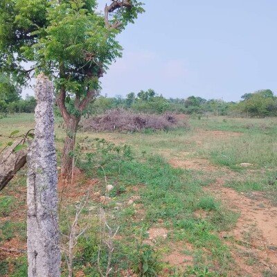 20 பரப்பு காணி விற்பனைக்கு