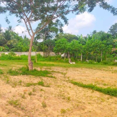 1.5 பரப்பு , 1.75 பரப்பு 2 பரப்பு  சதுரக்காணிகள் விற்பனைக்கு உண்டு