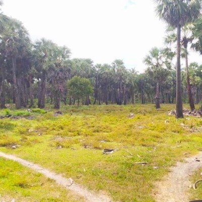 50 பரப்பு காணி விற்பனைக்கு-3