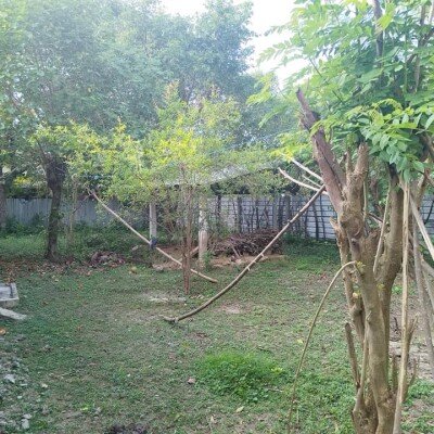 5 பரப்புக் காணியில் அமைந்த 4 அறைகளை கொண்ட கிழக்கு வாசல் வீடு விற்பனைக்கு