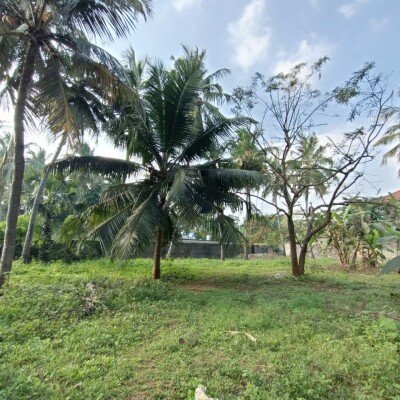 காணி 5 பரப்பு