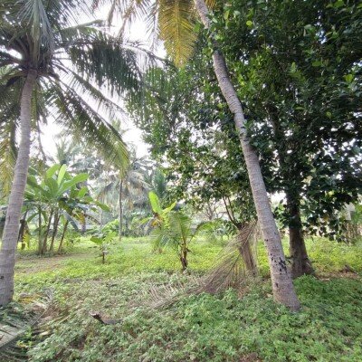 காணி 5 பரப்பு