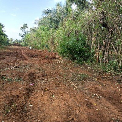 40பரப்பு ( 23+17)  செம்மண் தோட்டக்காணி விற்பனைக்கு