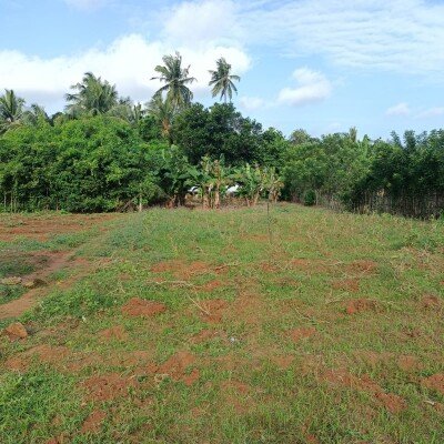 40பரப்பு ( 23+17)  செம்மண் தோட்டக்காணி விற்பனைக்கு