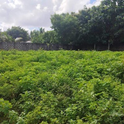 1.75 பரப்பு காணி விற்பனைக்கு