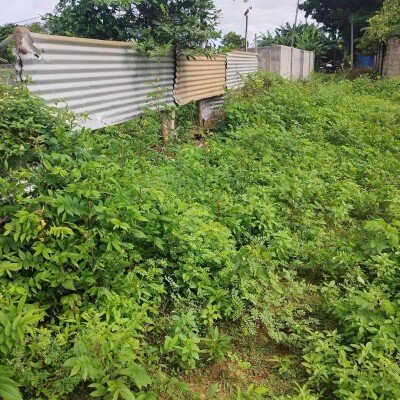 1.75 பரப்பு காணி விற்பனைக்கு