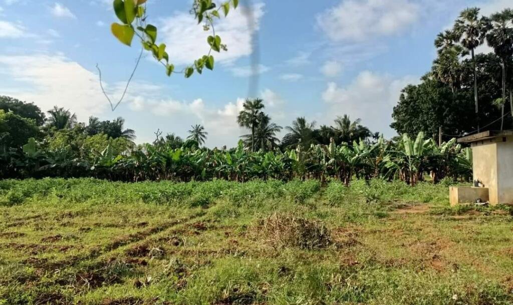 17 பரப்பு   செம்மண் தோட்டக்காணி விற்பனைக்கு-3