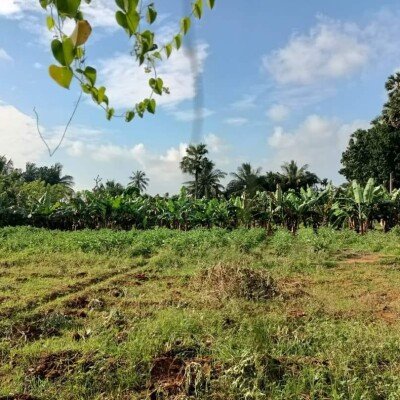 17 பரப்பு   செம்மண் தோட்டக்காணி விற்பனைக்கு