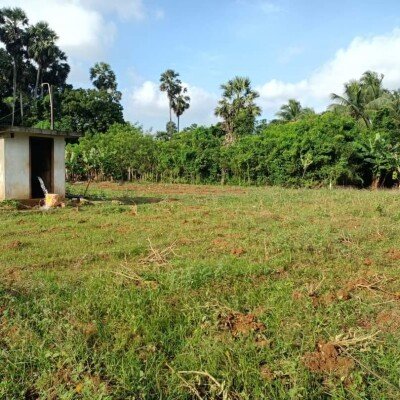 17 பரப்பு   செம்மண் தோட்டக்காணி விற்பனைக்கு