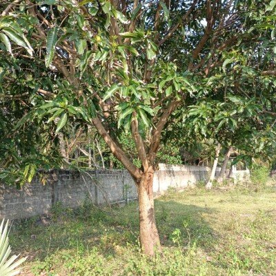 33பரப்பு காணி விற்பனைக்கு