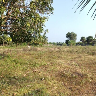 33பரப்பு காணி விற்பனைக்கு