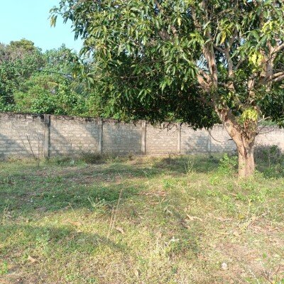 33பரப்பு காணி விற்பனைக்கு