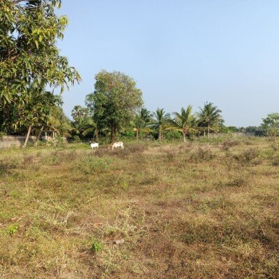 33பரப்பு காணி விற்பனைக்கு