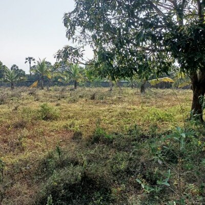 33பரப்பு காணி விற்பனைக்கு