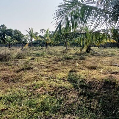 33பரப்பு காணி விற்பனைக்கு