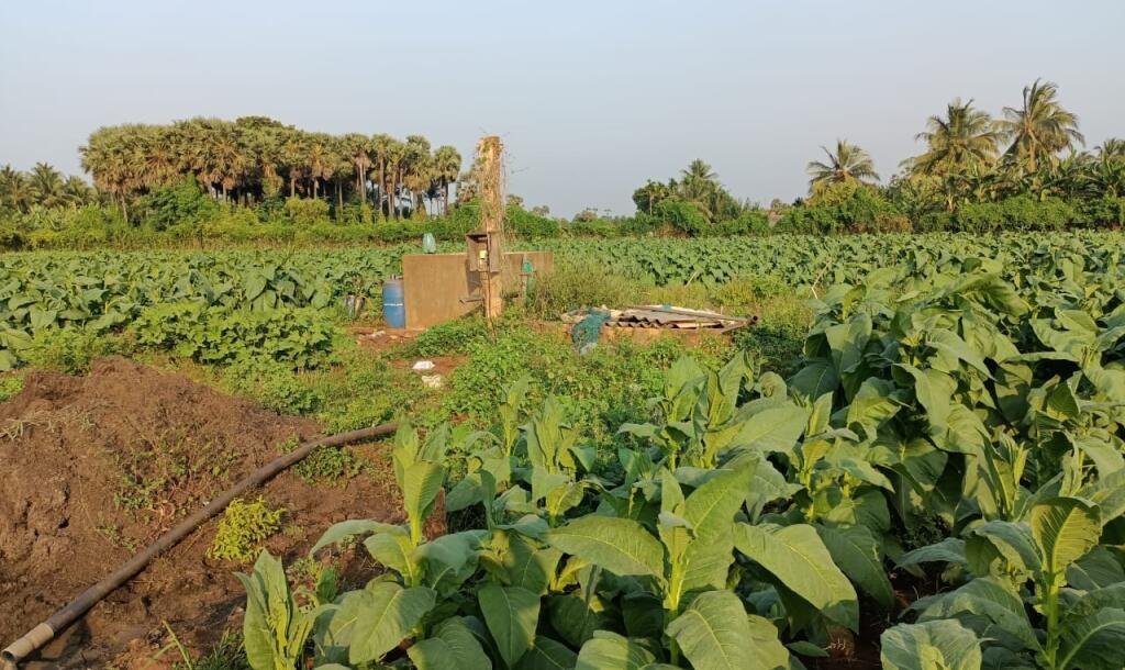 103 பரப்பு செம்மண் தோட்டக்காணி விற்பனைக்கு-1