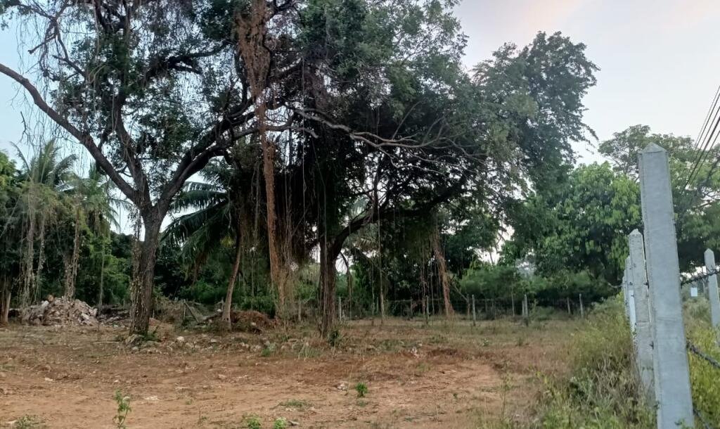 2 பரப்பு காணி விற்பனைக்கு-4