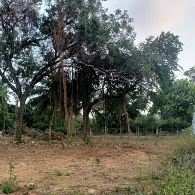 2 பரப்பு காணி விற்பனைக்கு