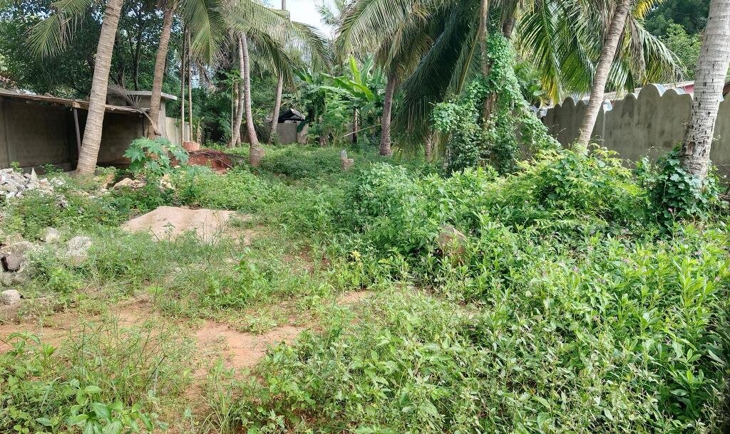 100M இல் 2பரப்பு காணி சுற்று மதிலுடன் விற்பனைக்கு-3