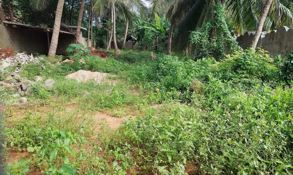 100M இல் 2பரப்பு காணி சுற்று மதிலுடன் விற்பனைக்கு-2