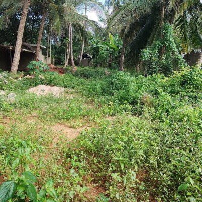 100M இல் 2பரப்பு காணி சுற்று மதிலுடன் விற்பனைக்கு