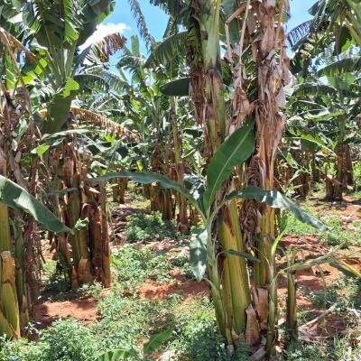 Puthur Achuveli till the moon Main street front with house