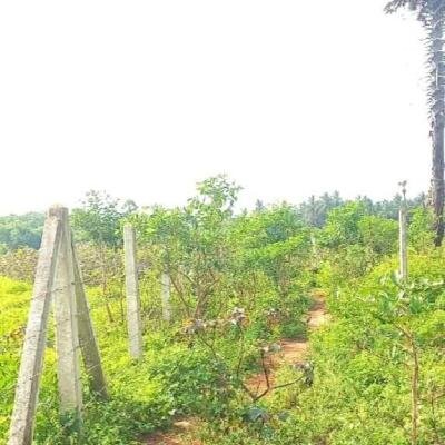 Jaffna - Gani is for sale in town area.-4