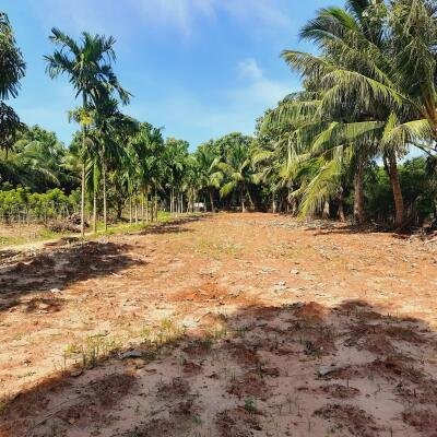 யாழ்ப்பாணம் - கீரிமலை நகுலேஸ்வரம் கோவில்க்கு அண்மையில் "கீரிமலை வீதியோரமாக" உள்ள காணி விற்பனைக்கு உள்ளது