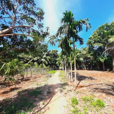 யாழ்ப்பாணம் - கீரிமலை நகுலேஸ்வரம் கோவில்க்கு அண்மையில் "கீரிமலை வீதியோரமாக" உள்ள காணி விற்பனைக்கு உள்ளது