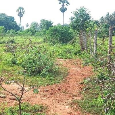 Jaffna - Gani is for sale in town area.