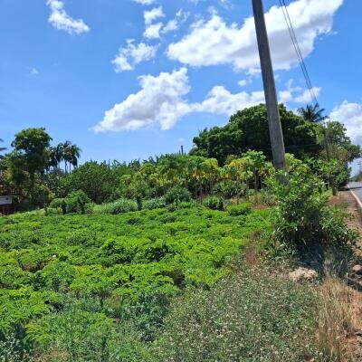 Puthur Achuveli till the moon Main street front with house