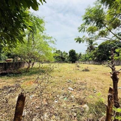 5 parappu ghani for sale near medical faculty in Kokuvil.-3