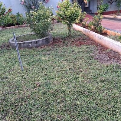 யாழ் : பலாலி  குரும்பசிட்டி  பிரதான  வீதியில்  வீடு விற்பனைக்கு உள்ளது