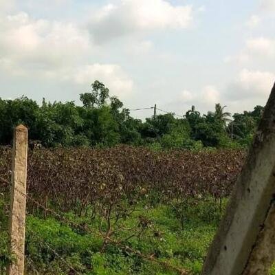 Jaffna - Gani is for sale in town area.-3