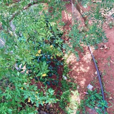 ஊரெழு பகுதியில் 2.1/2 பரப்பு மாடி வீடு விற்பனைக்கு உள்ளது