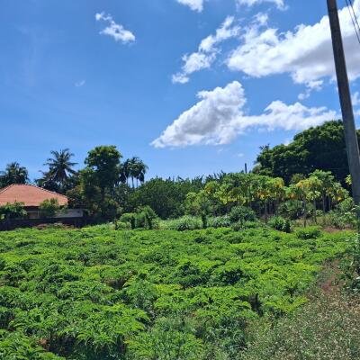 Puthur Achuveli till the moon Main street front with house