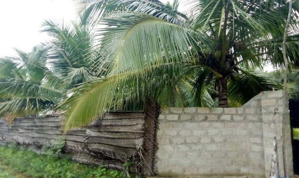 House for sale in Kilinochchchi Aanaivilunthan area-3