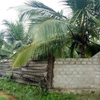 House for sale in Kilinochchchi Aanaivilunthan area