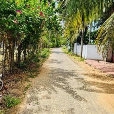 5 parappu ghani for sale near medical faculty in Kokuvil.-2