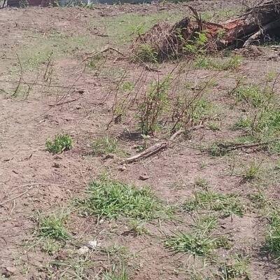 4 spreading confirmation for sale near Kilinochchi Karadi Pok Junction-2