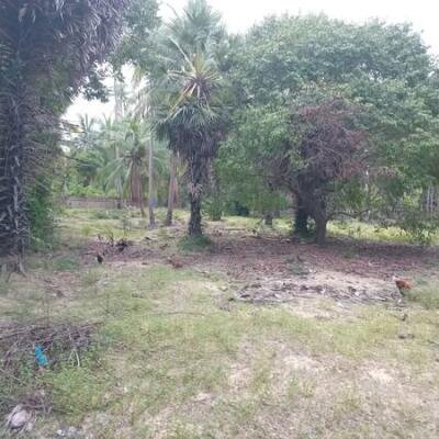 கச்சாய் தெற்கு பகுதியில் 𝟏𝟓 பரப்பு காணி