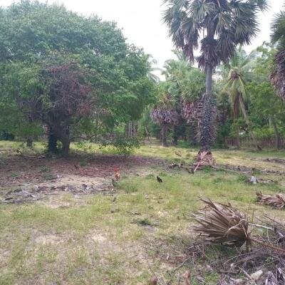 கச்சாய் தெற்கு பகுதியில் 𝟏𝟓 பரப்பு காணி