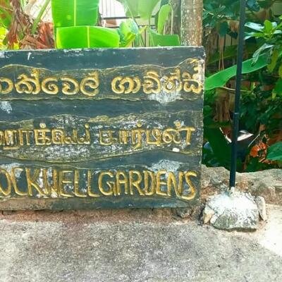 15 perch for sale.-6