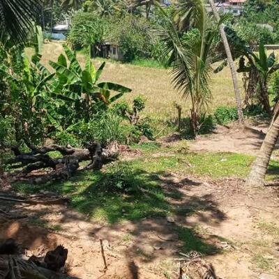 15 perch for sale.-4