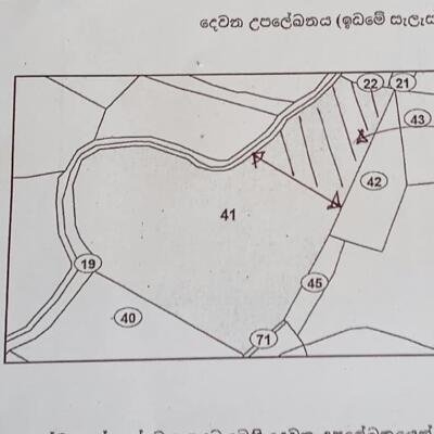 15 perch for sale.-3